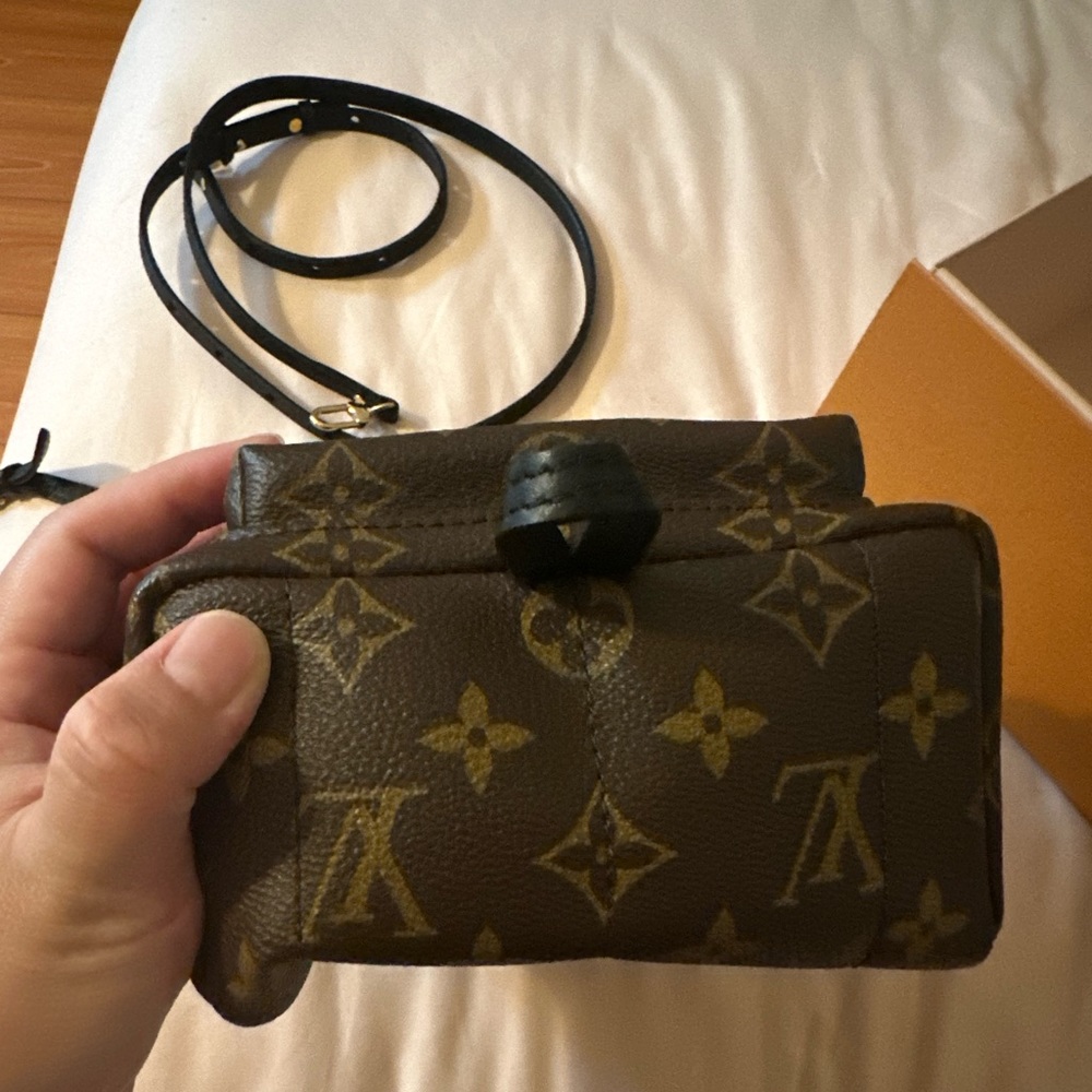 Louis vuitton palm spring mini